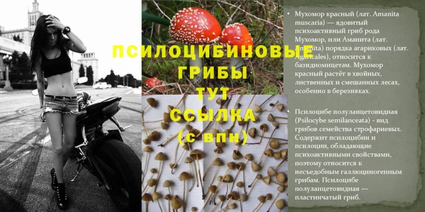 кокс Нея